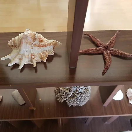 Kekrops 2* 卢特拉艾季普苏